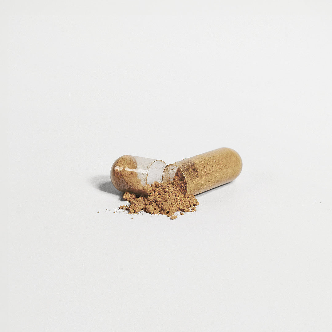 Liver Support Supplement | Liver Support Capsules | Iron Core Factory