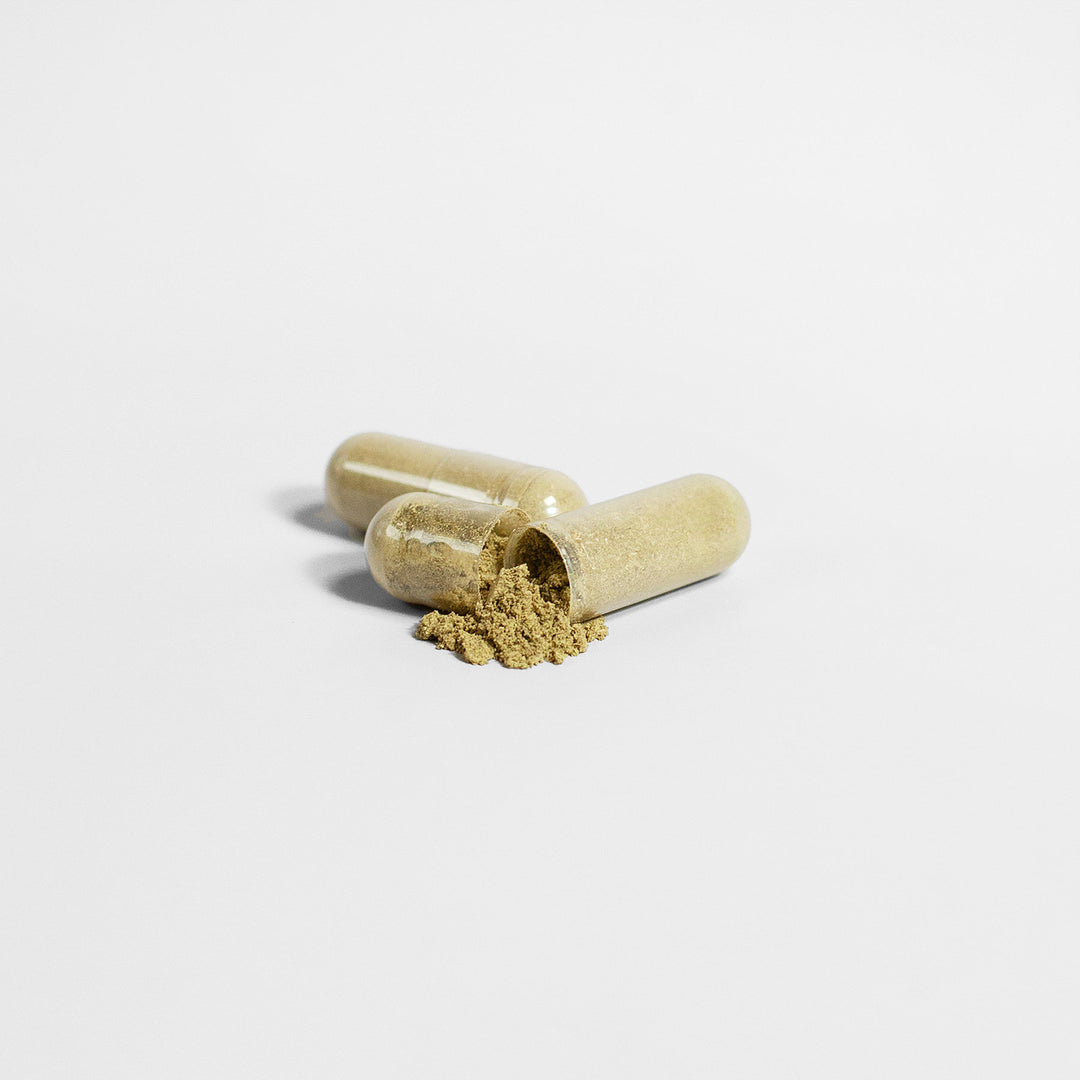 Moringa Pure Capsules | Moringa Powder Capsules | Iron Core Factory